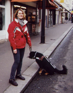 le chien guide a appris  faire ses besoins au caniveau